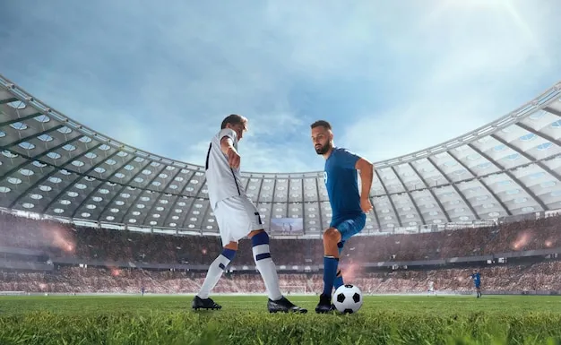 BOB体育 App 界面